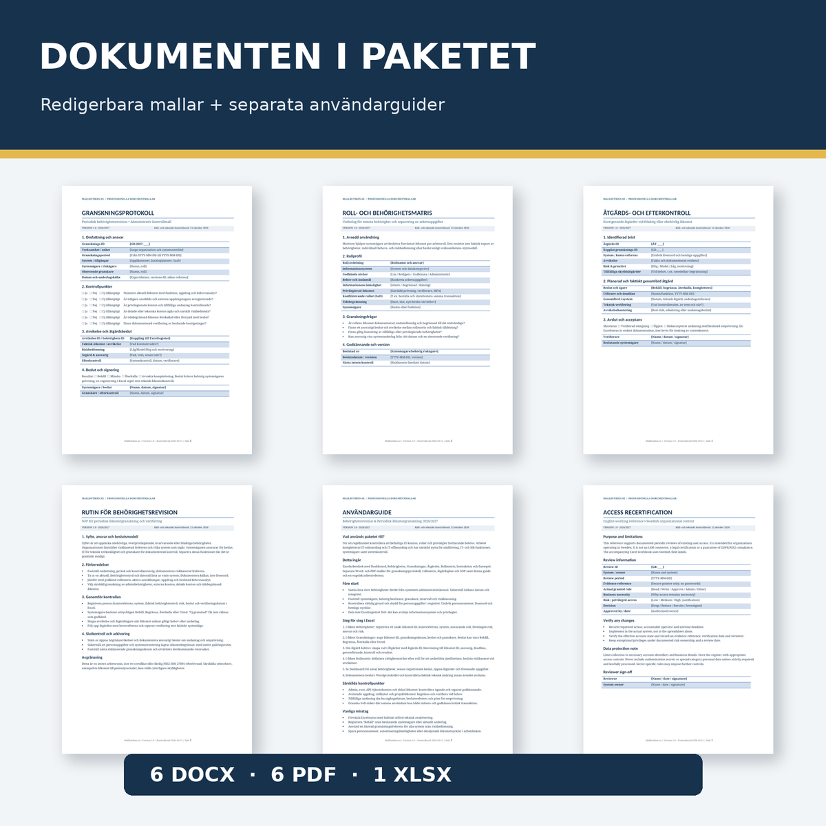 Granskningsprotokoll rollmatris åtgärdsplan SOP och guide i Word PDF