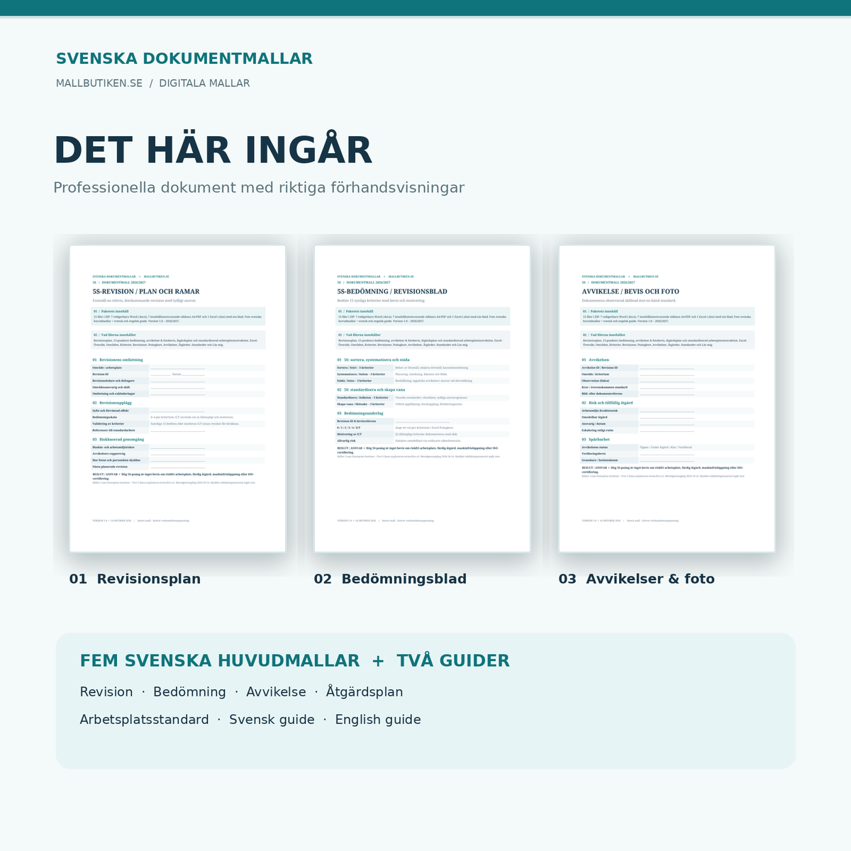 5S-paketets innehåll, revisionsplan, bedömning och avvikelser i Word/PDF