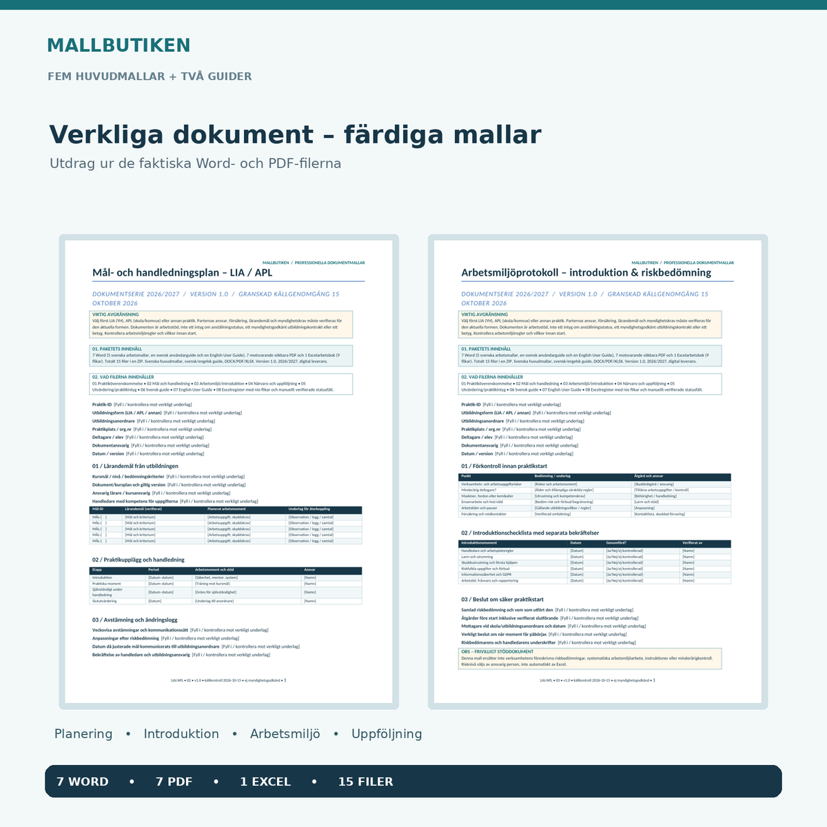 Praktikpaketets mål- och handledningsplan och arbetsmiljökontroll i Word PDF