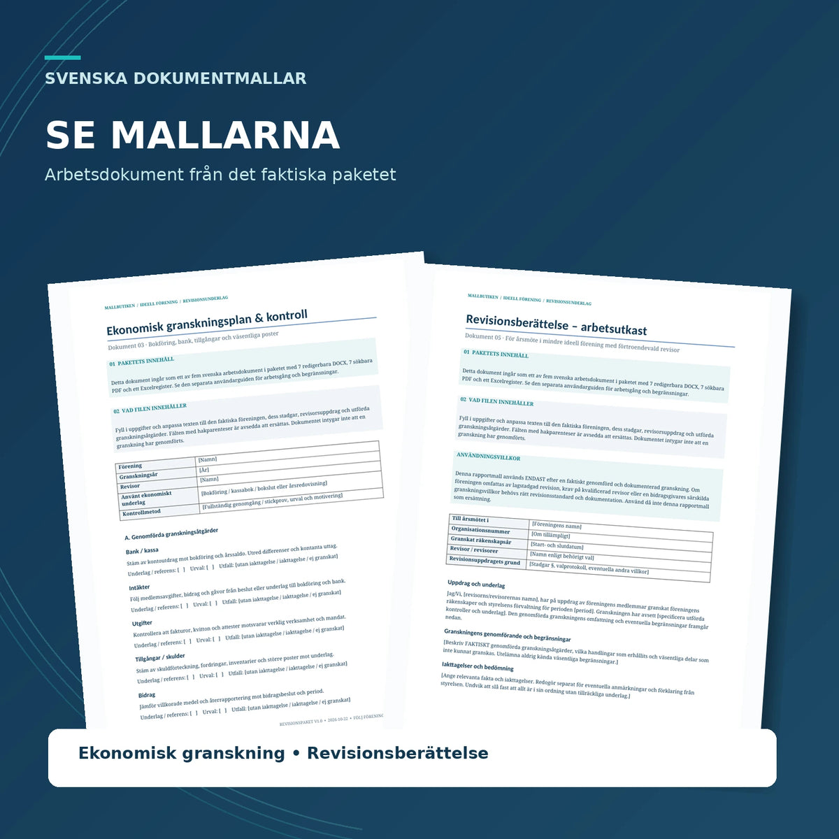 Förhandsvisning av ekonomisk granskning och revisionsberättelse för mindre ideell förening