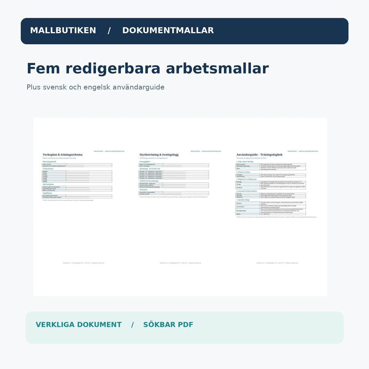 Exempel från träningsschema, styrkelogg och svensk användarguide i Word/PDF
