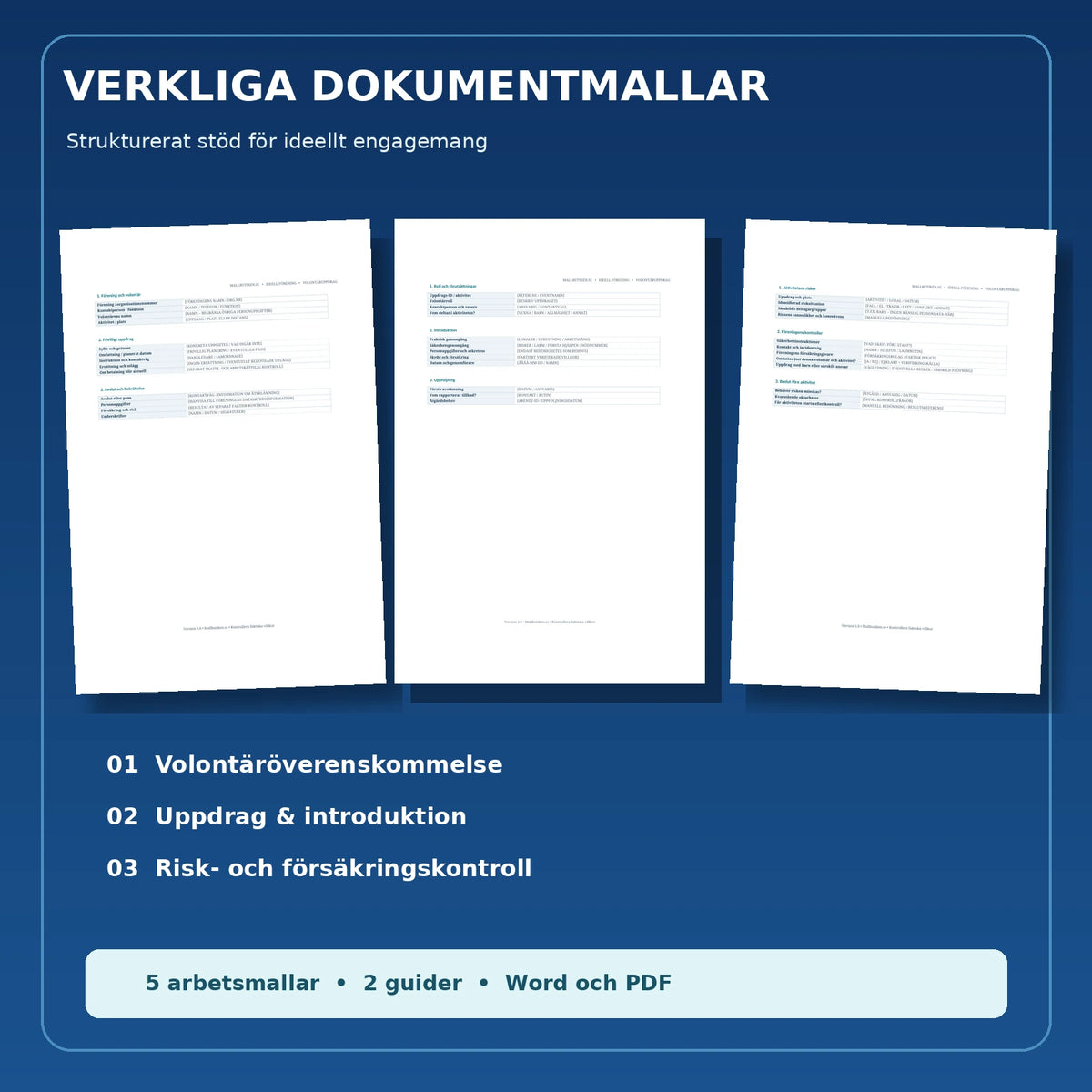 Verklig dokumentförhandsvisning – ideellt uppdrag, introduktion och risk- och försäkringskontroll